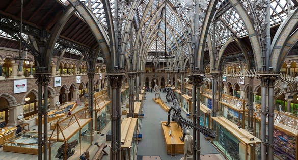 Photo of the interior of Natural History Museum of the University of Oxford, United Kingdom.