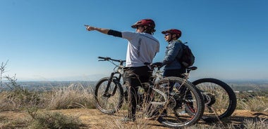 E-Bike Kalamata Olive Routes