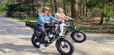 Eindhoven: Full Day E-Fatbike Rental including route