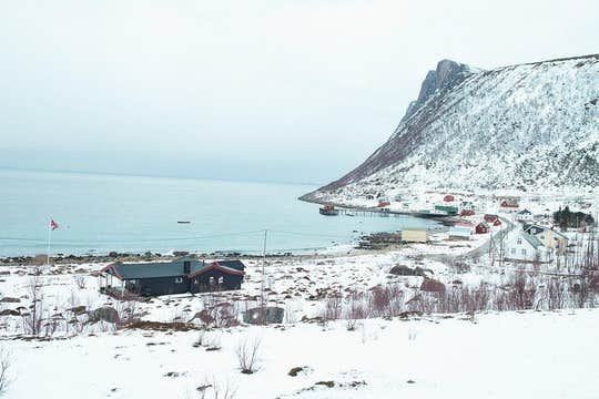 Arctic Fjord Sightseeing mit dem Kleinbus