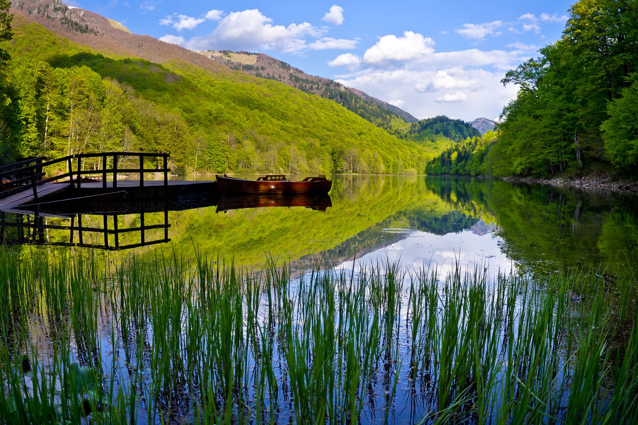 Photo of Reflection in Biogradskoe Lake at summer sunrise, Montenegro.