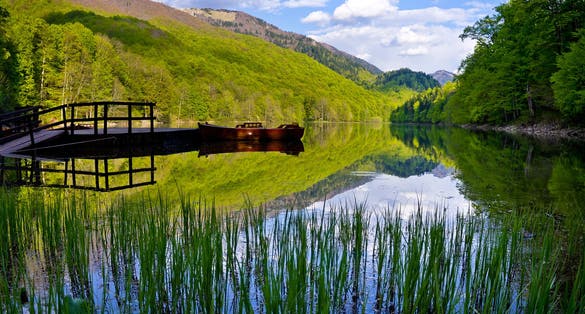 Photo of Reflection in Biogradskoe Lake at summer sunrise, Montenegro.