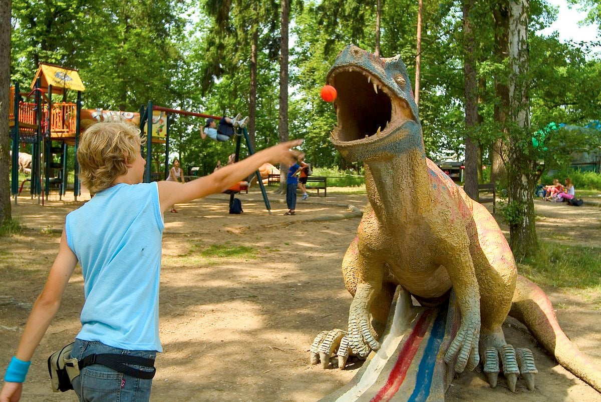 Photo of a boy plays in DinoPark Plzeň, Czech Republic.