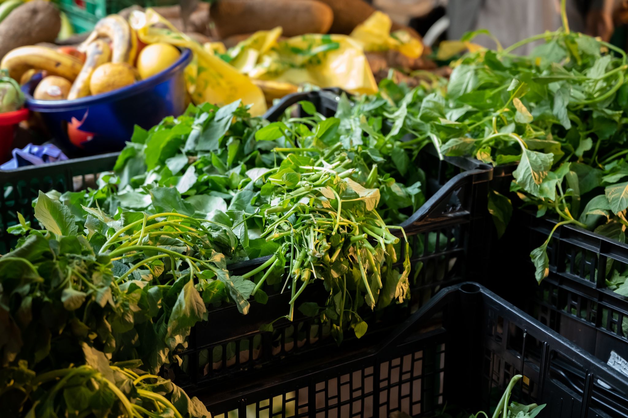 Fresh leafy greens and vegetables on display at Noailles Market in Marseille, France, showcasing the vibrant produce and multicultural atmosphere of the local market..jpg