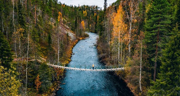 Aerial view of fall forest and blue river with bridge in Finland. Beautiful autumn landscape.