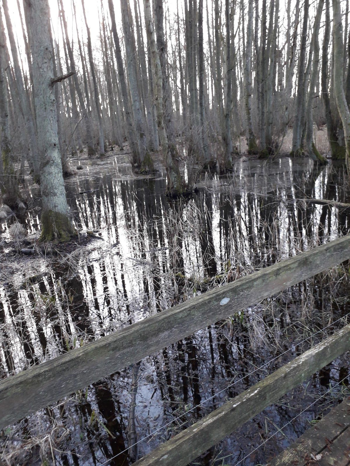 Ulvshale Naturcenter, Vordingborg Municipality, Region Zealand, Denmark