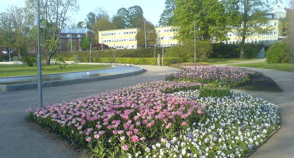 photo of Linnéparken in Kronoberg, Sweden.