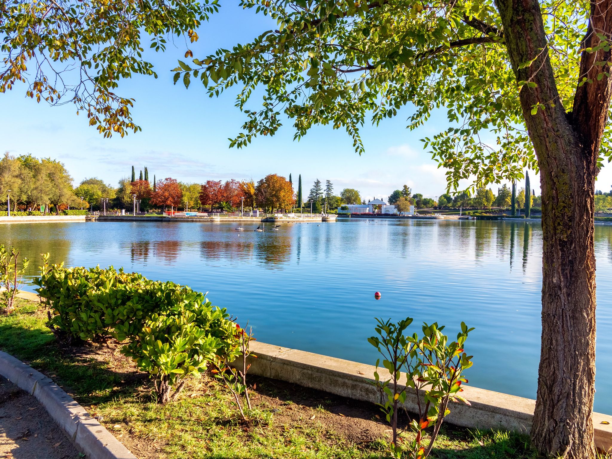 Pool at thepark of Juan Carlos I of Pinto. Madrid. Spain.