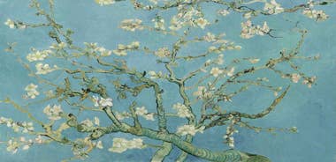 Art and Cooking Experience in Trulli and Masserie