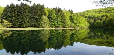 Excursión Selva Irati y Ochagavía
