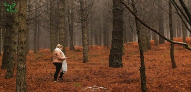 Lousa Mountain Private Tour