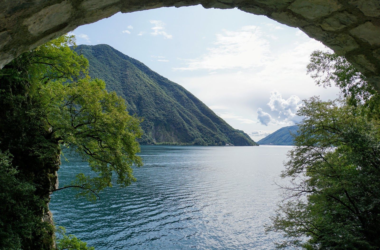 Sentiero dell'olivo, Circolo di Lugano est, Lugano, Distretto di Lugano, Ticino, Switzerland