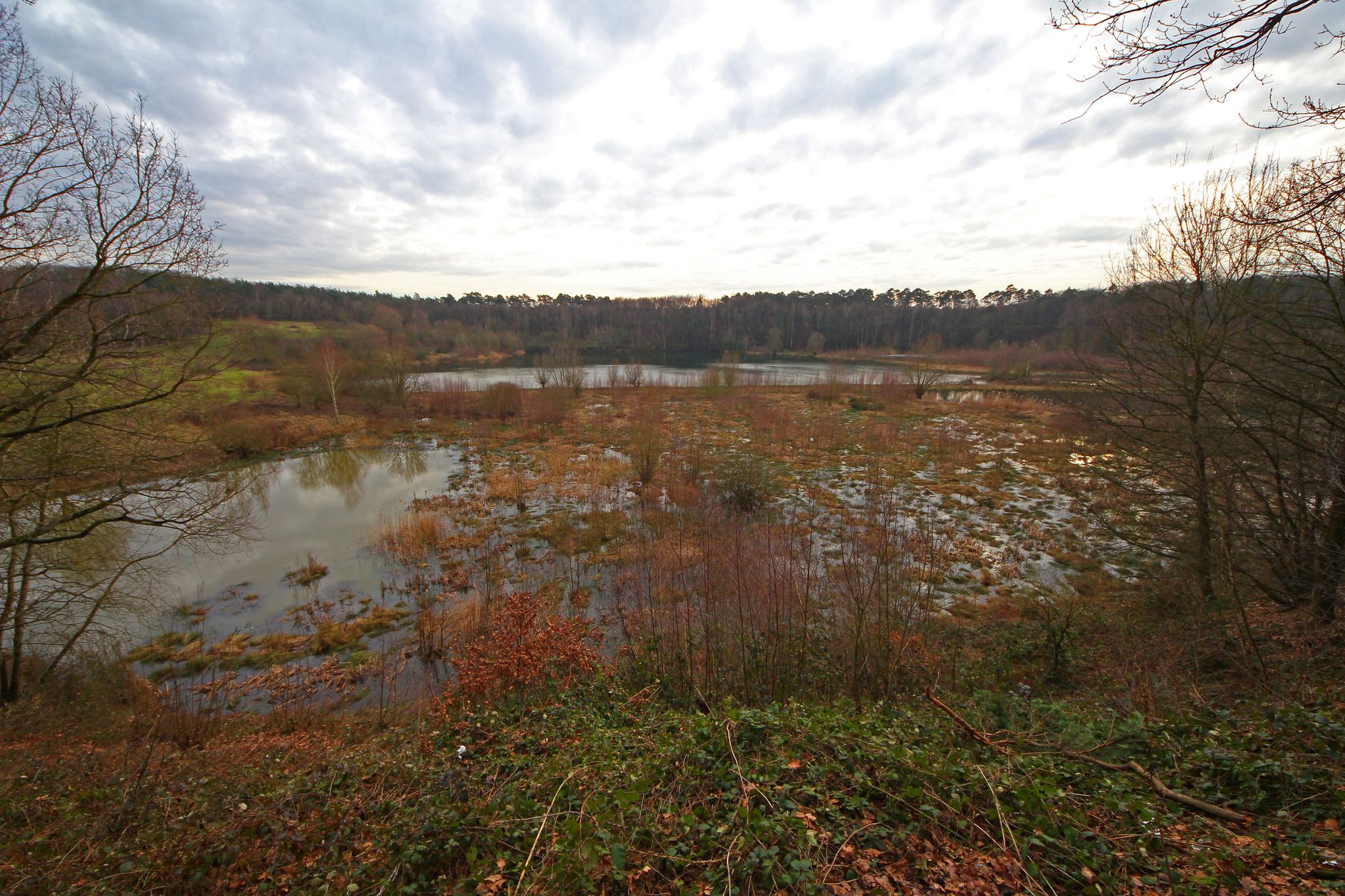 photo of Am Hornpottweg,Leverkusen germany.