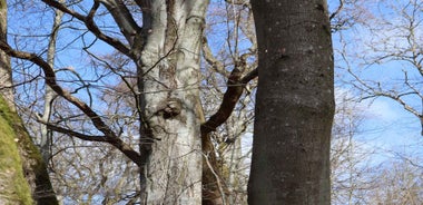 Skåne: guided hike in national park incl lunch close to Lund