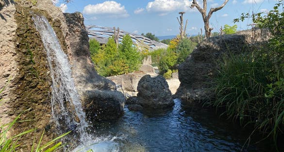 Photo of the landscape of the Zurich zoo, Switzerland.
