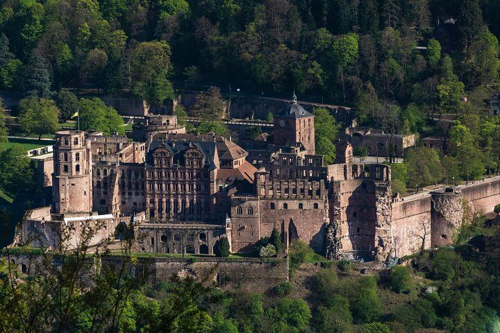 Heidelberg Castle and City Day Tour from Frankfurt