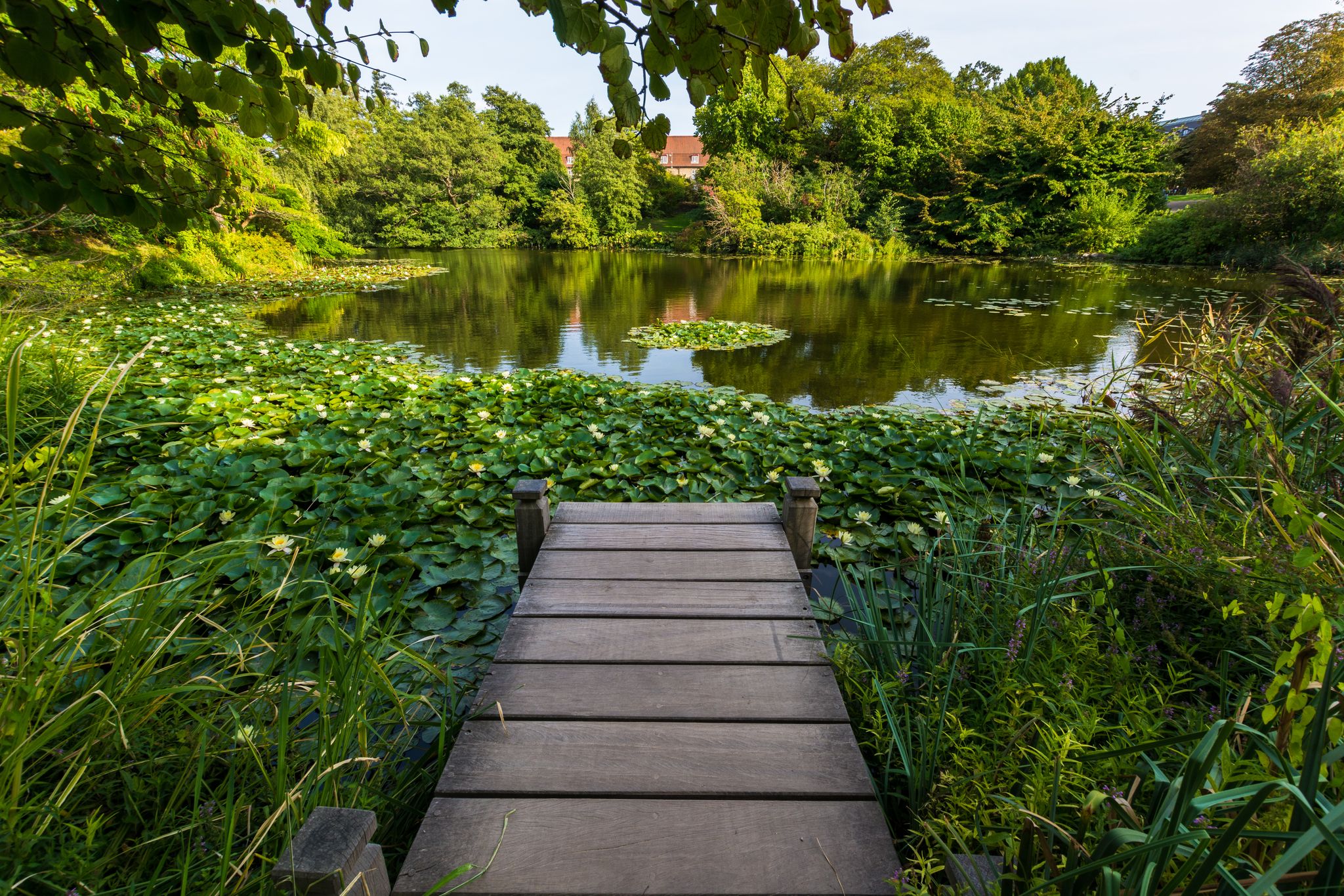 Photo of beautiful University of Copenhagen Botanical Garden, Denmark.