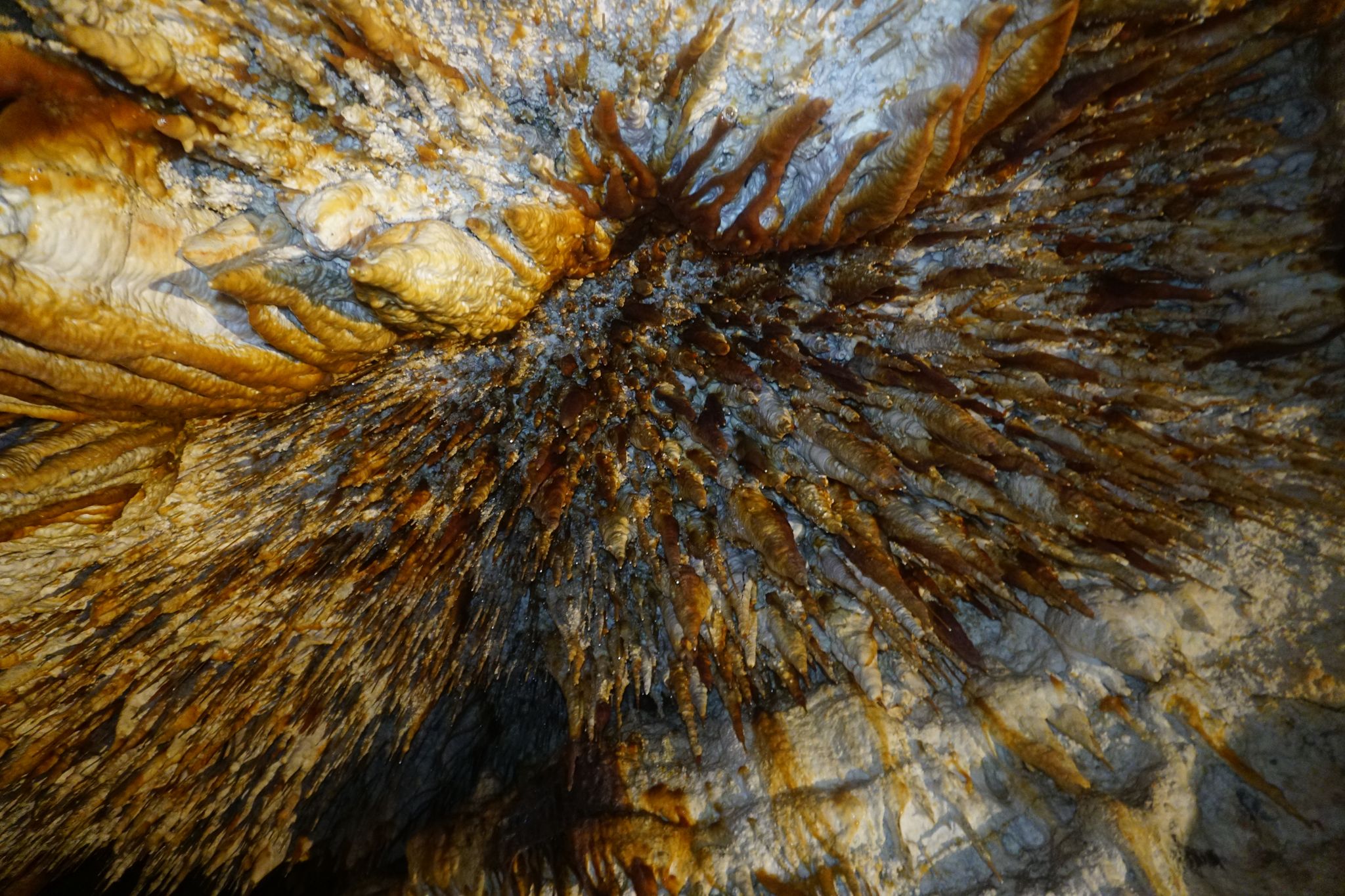 Photo of Demanova Cave of Freedom or Demänovská Cave of Liberty .