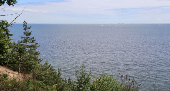 View of the Baltic Sea from the forest on the cliffs near Gdynia in Nature reserve "Kępa Redłowska". View of the beach and pier. We look through the trees.