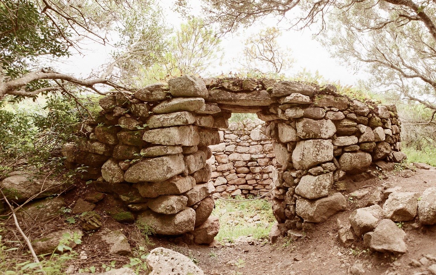 Sito Archeologico Lu Brandali - Mostra di Archeologia Nuragica, Lungòni/Santa Teresa Gallura, Sassari, Sardinia, Italy