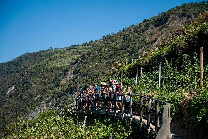 Cinque Terre Day Trip from Florence with Optional Hiking
