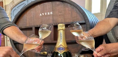 Champagne Day Trip from Reims including 7 Champagne Tastings
