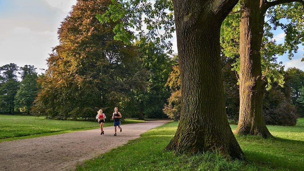 photo of view of Huthpark,Frankfurt Oder germany.