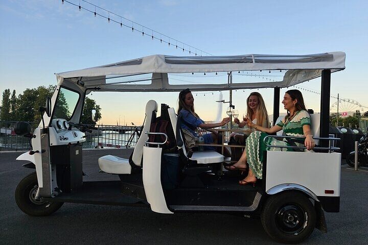 Geneva: Sightseeing of top Places Tour Electric TukTuk 1H15 tour