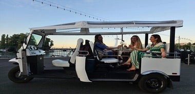 Geneva: Sightseeing of top Places Tour Electric TukTuk 1H15 tour