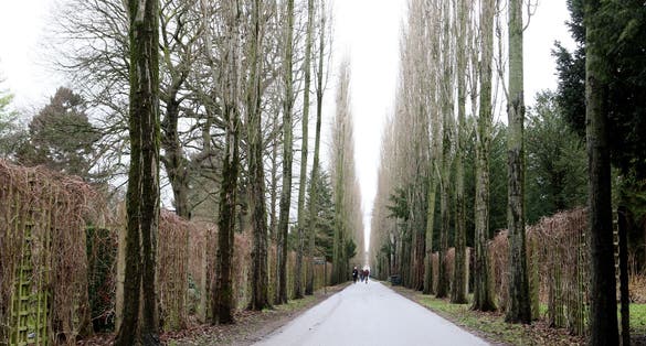 Photo of Assistens Cemetery in Copenhagen, Denmark.