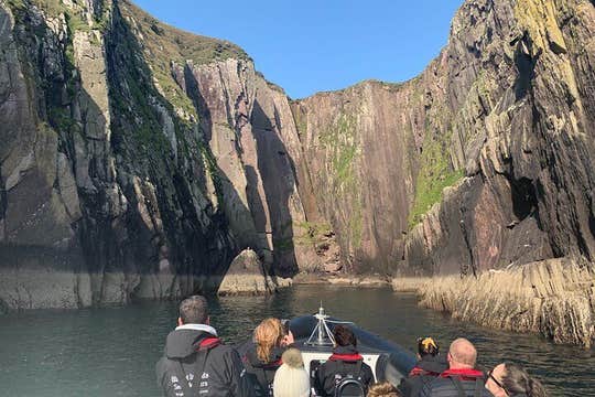 Blasket Seal Experience 1 1/2 hour Shared