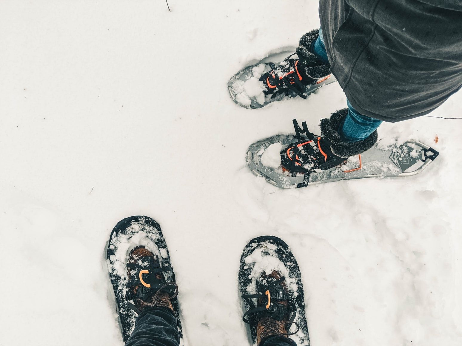 Snowshoeing tours