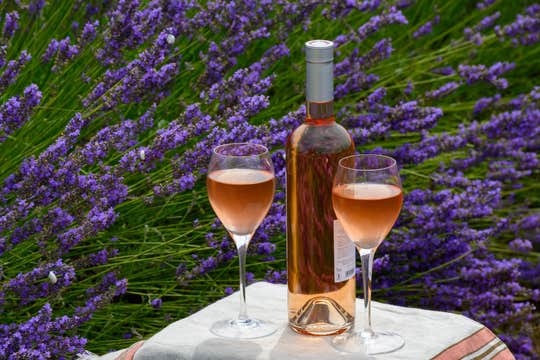 Prague in May: Best Things To See and Do in Spring