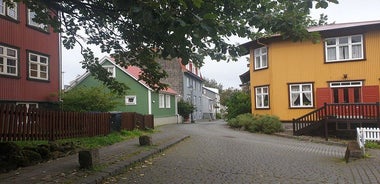 レイキャビク少人数グループウォーキングツアー - CityWalk提供