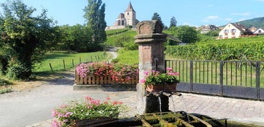 The Emblematic: visit of villages, Haut-Koenigsbourg, Wine tasting