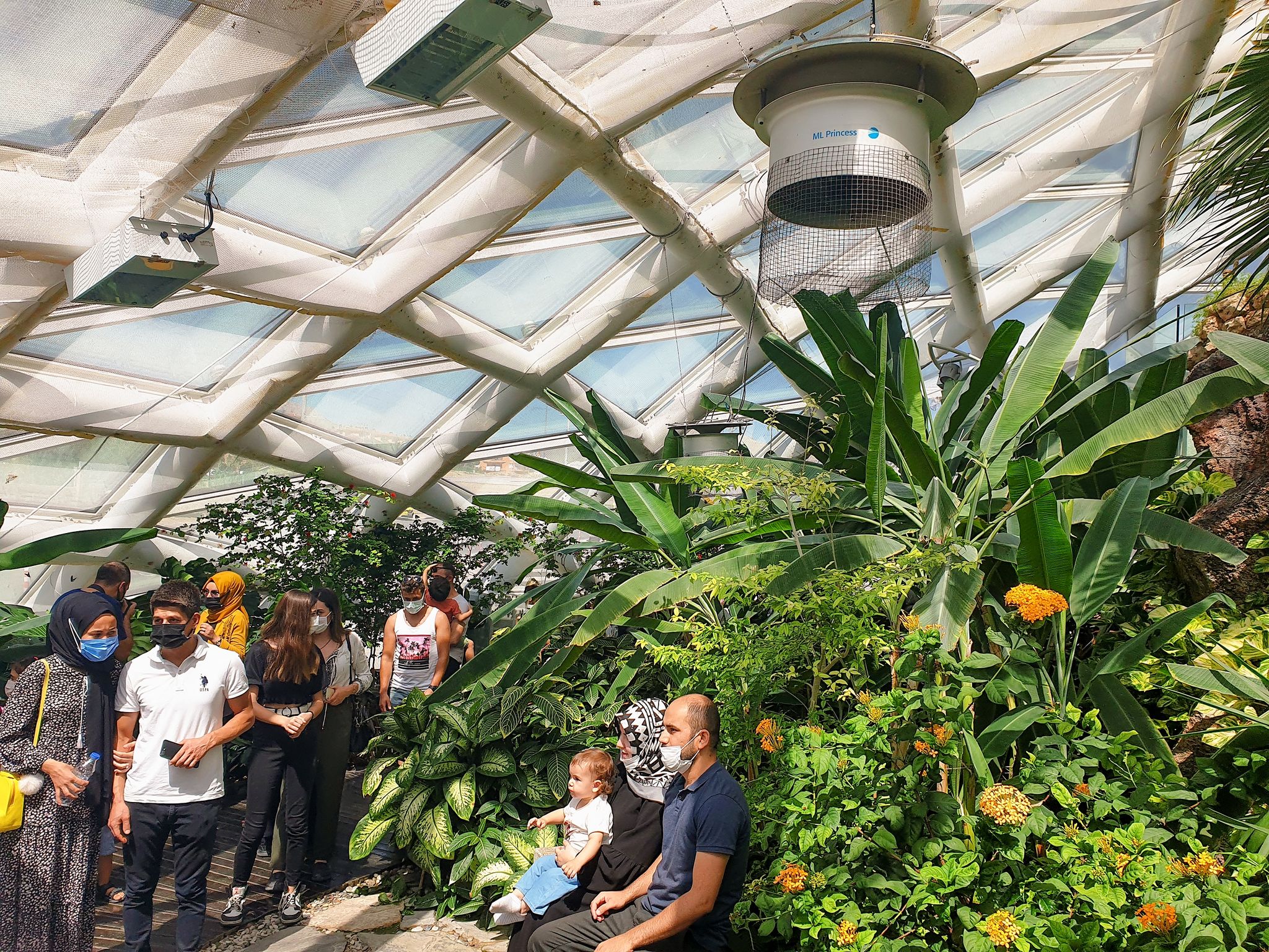 Amazed visitors strolling,taking photo and seeing exotic butterflies closely in the Konya tropical butterfly garden.