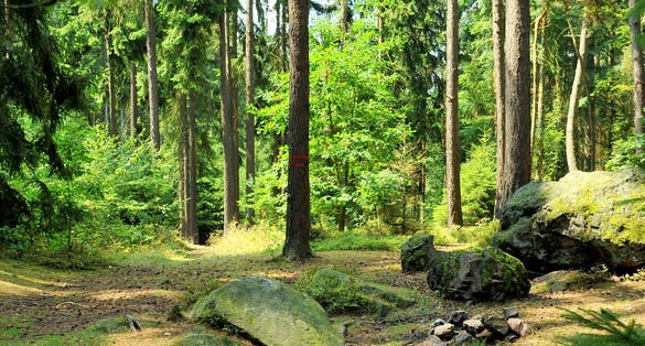 Photo of Nature reserve Andrejsky ,Stary Plzenec, Czech Republic