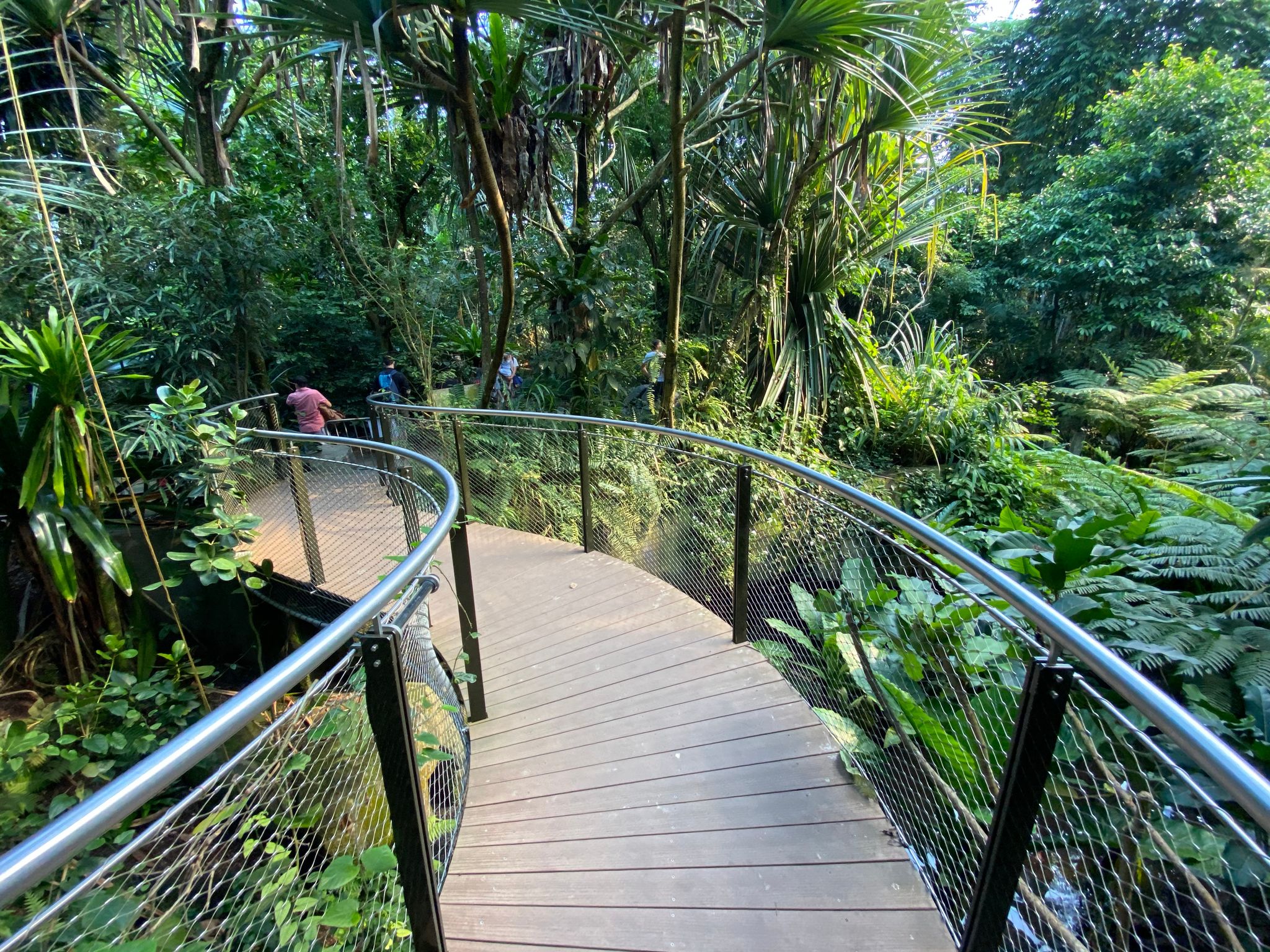 Photo of Masoala Rainforest in the Zoo Zürich, Switzerland.