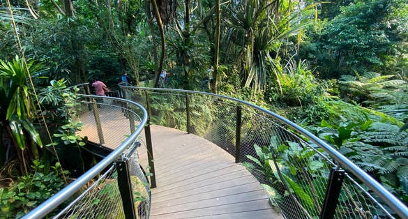 Photo of Masoala Rainforest in the Zoo Zürich, Switzerland.