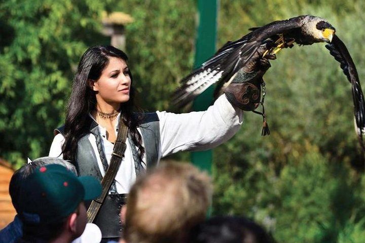 Skip the Line: Falconeria Locarno Ticket