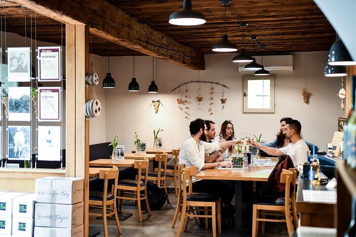 Tokaj Vineyard Tour Wine Tasting and Cellar Visit