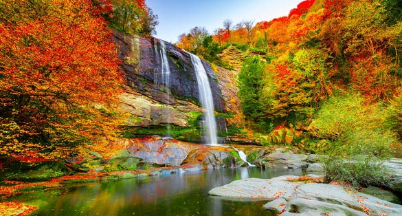 Photo of colorful leaves of autumn. Suuctu waterfalls, Bursa, Turkey.