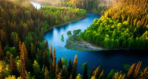 Photo of looking down from the Pähkänäkallio cliff at the Kitkajoki river meandering through the Taiga forests of Oulanka National Park in Kuusamo, Finland.