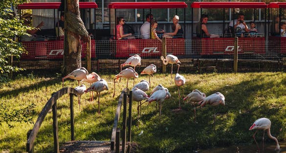 photo of Luxembourg, May 2022: "Parc merveilleuse" in bettembourg.
