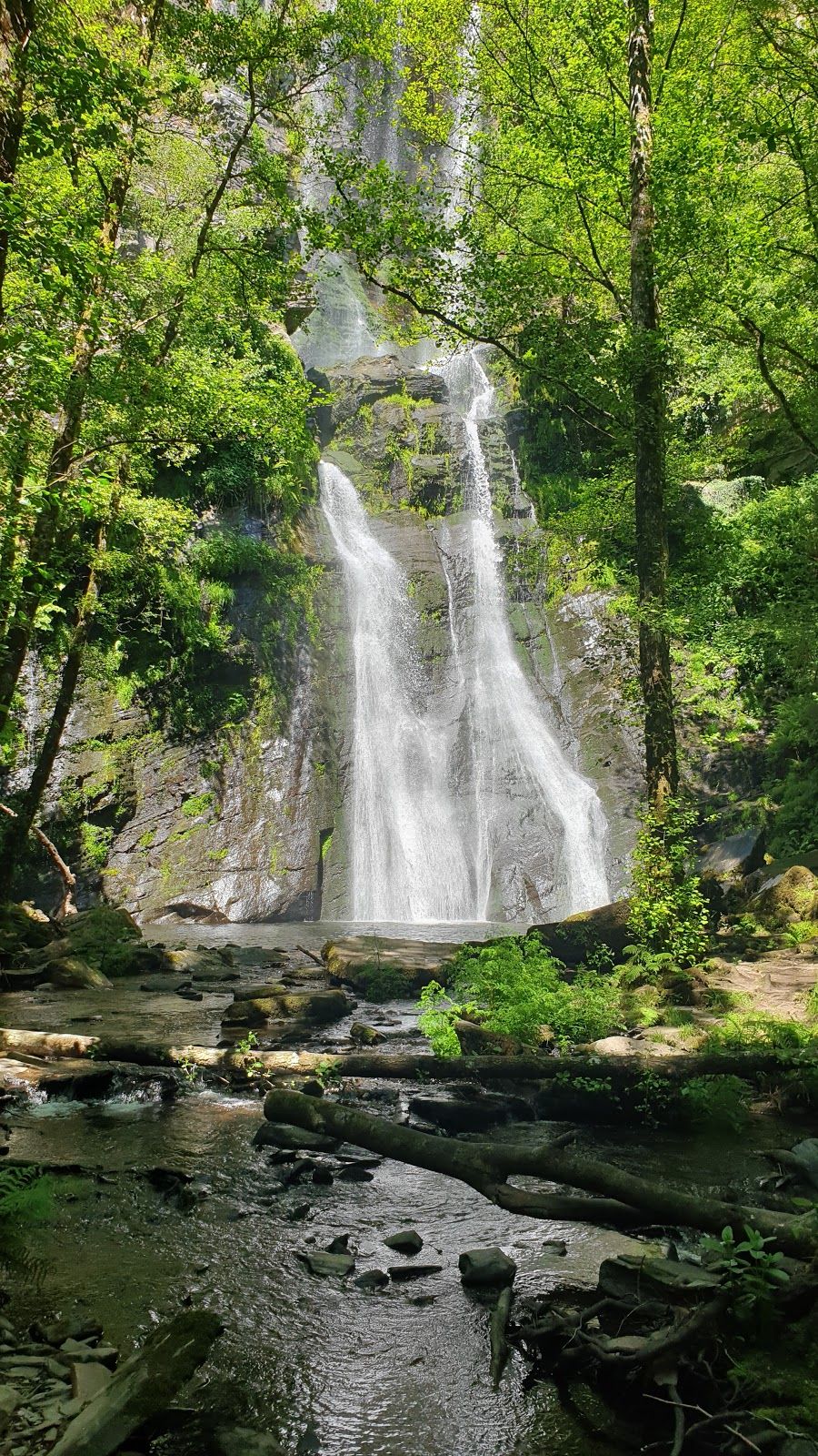 Seimeira de Vilagocende, San Martín de Suarna, A Fonsagrada, Lugo, Galicia, Spain