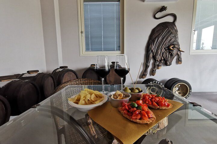 Private Visit to Acetaia with Tasting