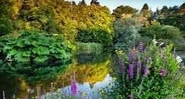 photo of John F Kennedy Arboretum .