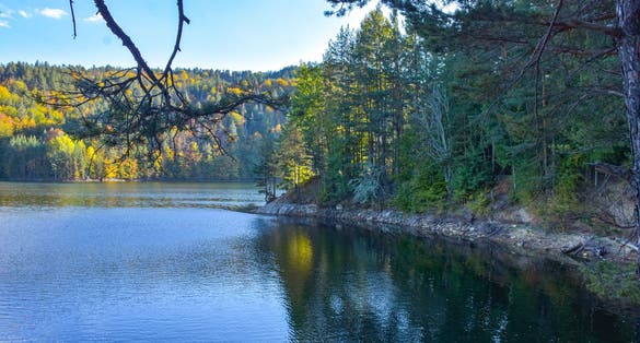 Autumn landscape with forest and Berovo lake in the middle of the forest, Berovo, Macedonia