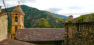 Train Experience Through The Alps (Full Day)