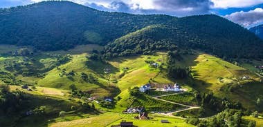 4x4 Nature Tour in Land of Dracula - 1 day